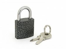 Замок навесной Palladium 303F-25 полимерный, защелка