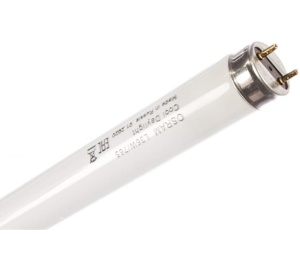 Лампа люминесцентная L36W/765(640) Osram по25